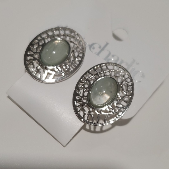 Beautiful Earrings + Necklace Set - Picture 3 of 4